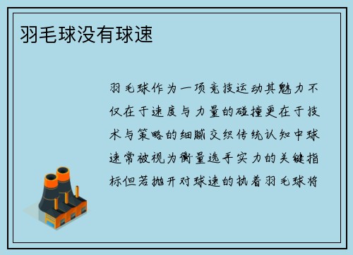 羽毛球没有球速